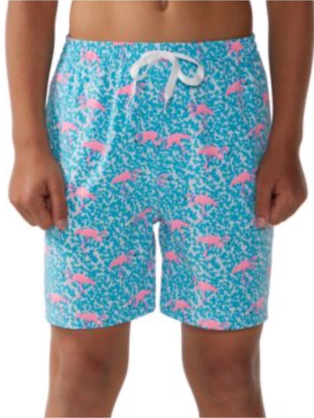 Chubbies Blue Flamingo Print Swim Shorts (B6)